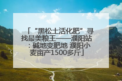 “黑松土活化肥”寻找最美粮王——濮阳站：碱地变肥地 濮阳小麦亩产1500多斤