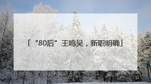 “80后”王鸣昊，新职明确