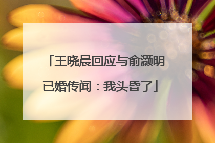 王晓晨回应与俞灏明已婚传闻：我头昏了