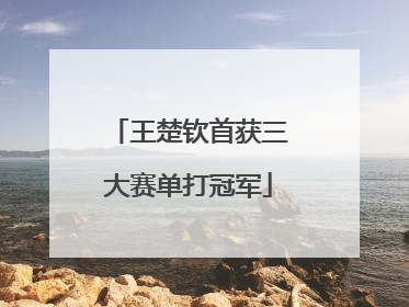王楚钦首获三大赛单打冠军