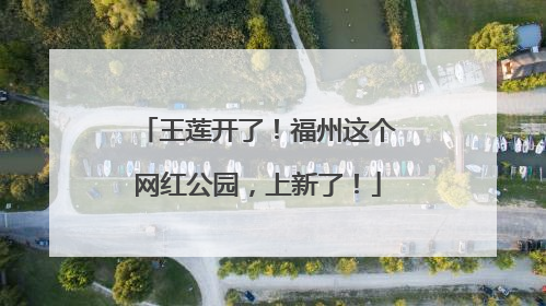 王莲开了！福州这个网红公园，上新了！