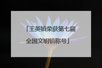 王英镇荣获第七届全国文明镇称号