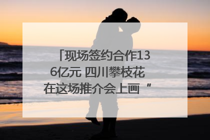 现场签约合作136亿元 四川攀枝花在这场推介会上画“图谱”列“清单”