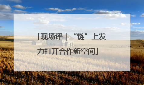 现场评｜“链”上发力打开合作新空间