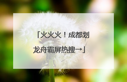 火火火！成都划龙舟霸屏热搜→