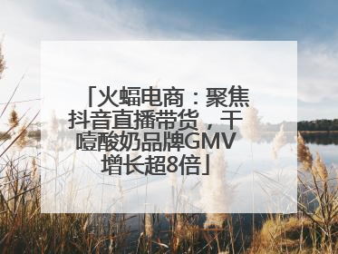 火蝠电商：聚焦抖音直播带货，干噎酸奶品牌GMV增长超8倍
