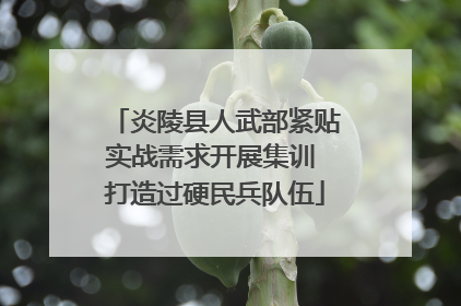 炎陵县人武部紧贴实战需求开展集训 打造过硬民兵队伍