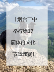 烟台三中举行第17届体育文化节篮球赛