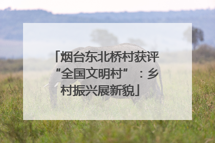 烟台东北桥村获评“全国文明村”：乡村振兴展新貌