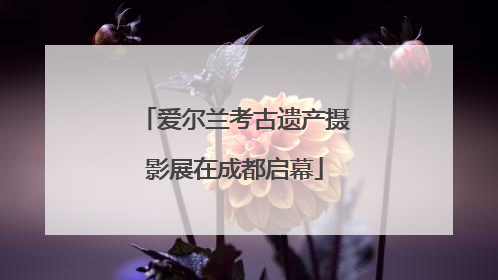 爱尔兰考古遗产摄影展在成都启幕