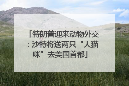 特朗普迎来动物外交：沙特将送两只“大猫咪”去美国首都