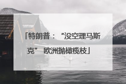 特朗普：“没空理马斯克” 欧洲抛橄榄枝