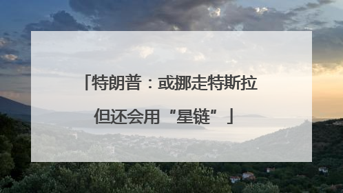 特朗普：或挪走特斯拉 但还会用“星链”