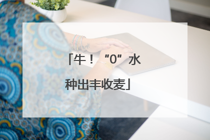 牛！“0”水种出丰收麦