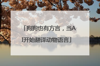 狗狗也有方言，当AI开始翻译动物语言