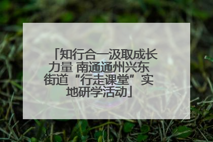 知行合一汲取成长力量 南通通州兴东街道“行走课堂”实地研学活动