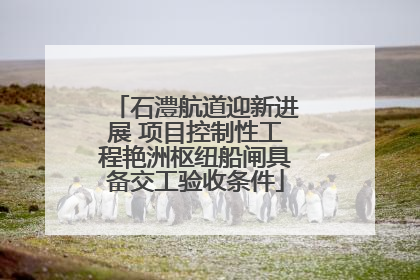石澧航道迎新进展 项目控制性工程艳洲枢纽船闸具备交工验收条件