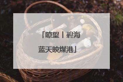 瞭望丨碧海蓝天映煤港