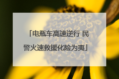 电瓶车高速逆行 民警火速救援化险为夷
