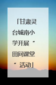 甘肃灵台城南小学开展“田间课堂”活动