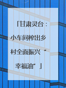甘肃灵台：小车间榨出乡村全面振兴“幸福油”