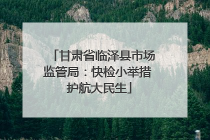 甘肃省临泽县市场监管局：快检小举措 护航大民生