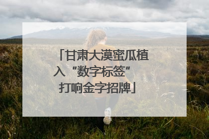甘肃大漠蜜瓜植入“数字标签” 打响金字招牌