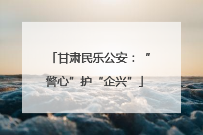 甘肃民乐公安：“警心”护“企兴”
