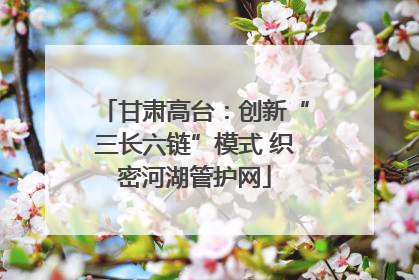 甘肃高台：创新“三长六链”模式 织密河湖管护网