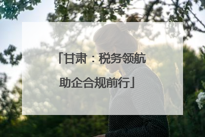 甘肃：税务领航 助企合规前行