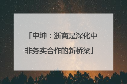 申坤：浙商是深化中非务实合作的新桥梁