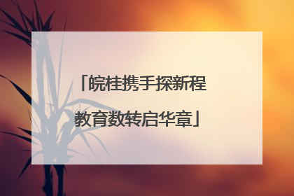 皖桂携手探新程 教育数转启华章