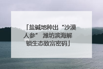 盐碱地种出“沙漠人参” 潍坊滨海解锁生态致富密码