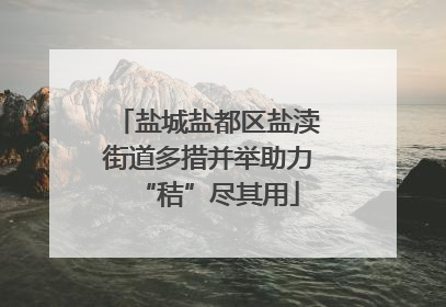 盐城盐都区盐渎街道多措并举助力“秸”尽其用