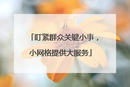 盯紧群众关键小事，小网格提供大服务