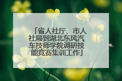 省人社厅、市人社局到湖北东风汽车技师学院调研技能竞赛集训工作
