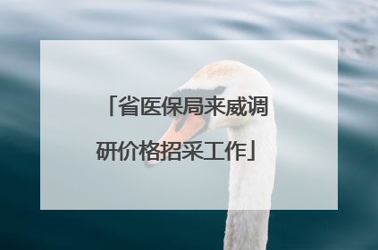 省医保局来威调研价格招采工作