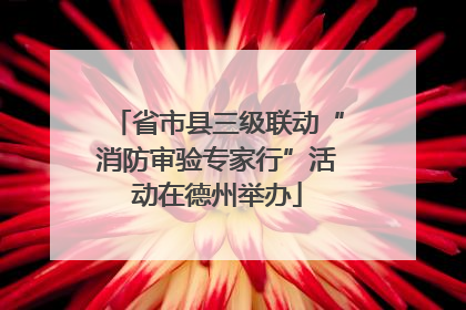 省市县三级联动“消防审验专家行”活动在德州举办