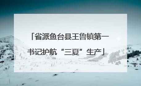 省派鱼台县王鲁镇第一书记护航“三夏”生产