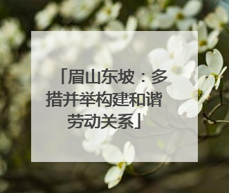 眉山东坡：多措并举构建和谐劳动关系