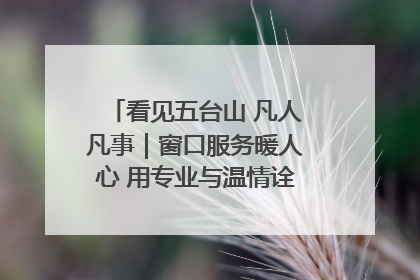 看见五台山 凡人凡事｜窗口服务暖人心 用专业与温情诠释责任担当