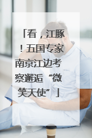 看，江豚！五国专家南京江边考察邂逅“微笑天使”