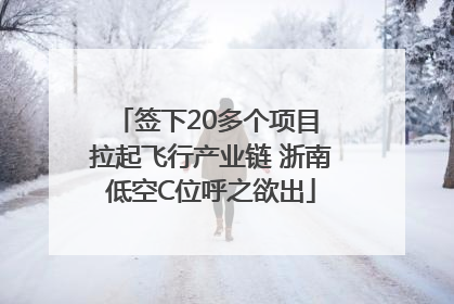 签下20多个项目 拉起飞行产业链 浙南低空C位呼之欲出