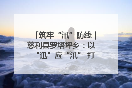筑牢“汛”防线｜慈利县罗塔坪乡：以“迅”应“汛” 打赢暴雨防御战
