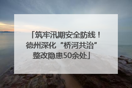 筑牢汛期安全防线！德州深化“桥河共治”整改隐患50余处