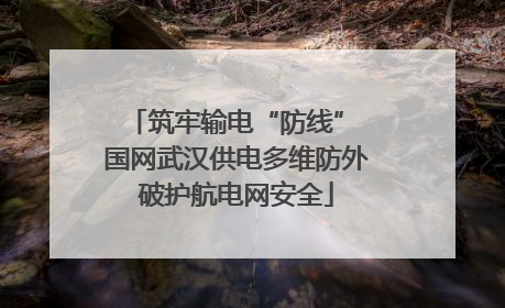 筑牢输电“防线” 国网武汉供电多维防外破护航电网安全
