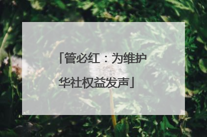 管必红：为维护华社权益发声
