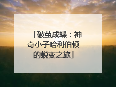 破茧成蝶：神奇小子哈利伯顿的蜕变之旅