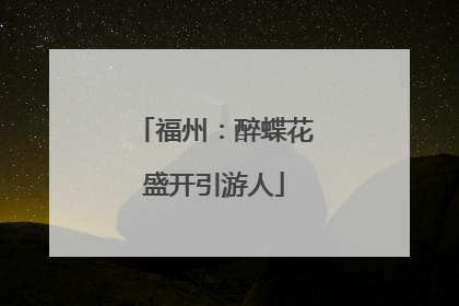 福州：醉蝶花盛开引游人