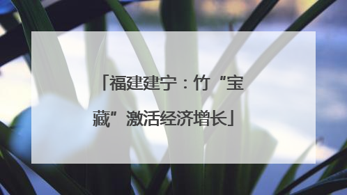福建建宁：竹“宝藏”激活经济增长